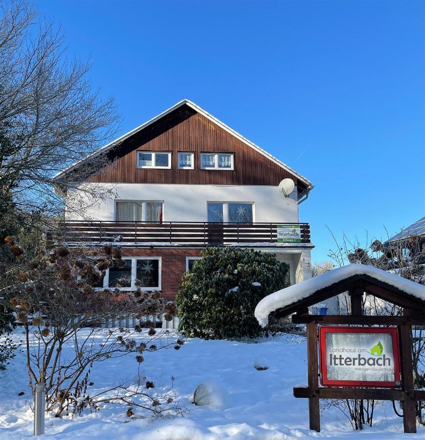 Landhaus Am Itterbach Willingen Willingen  Bagian luar foto